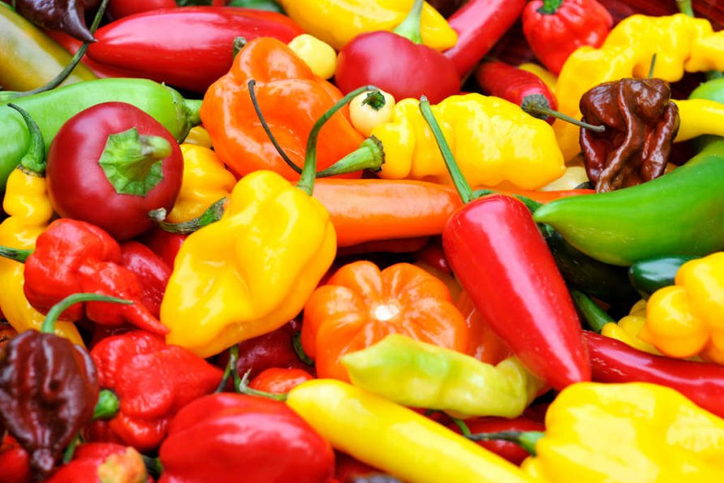 What Are The Amazing Benefits Of Chili Peppers2